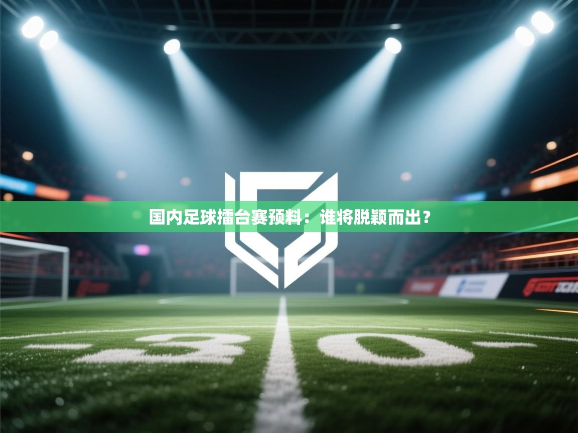 国内足球擂台赛预料：谁将脱颖而出？  第2张