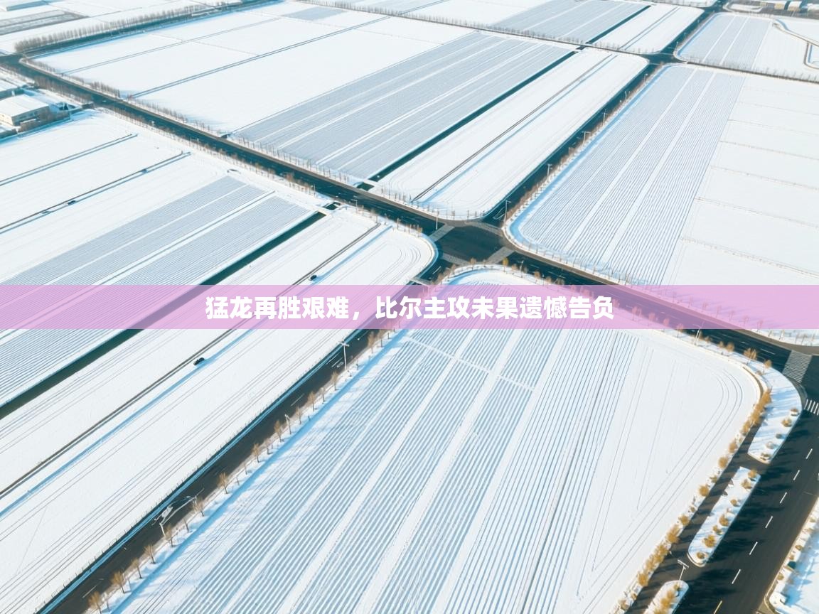 猛龙再胜艰难，比尔主攻未果遗憾告负  第2张