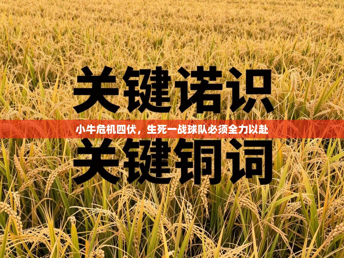 小牛危机四伏，生死一战球队必须全力以赴  第1张