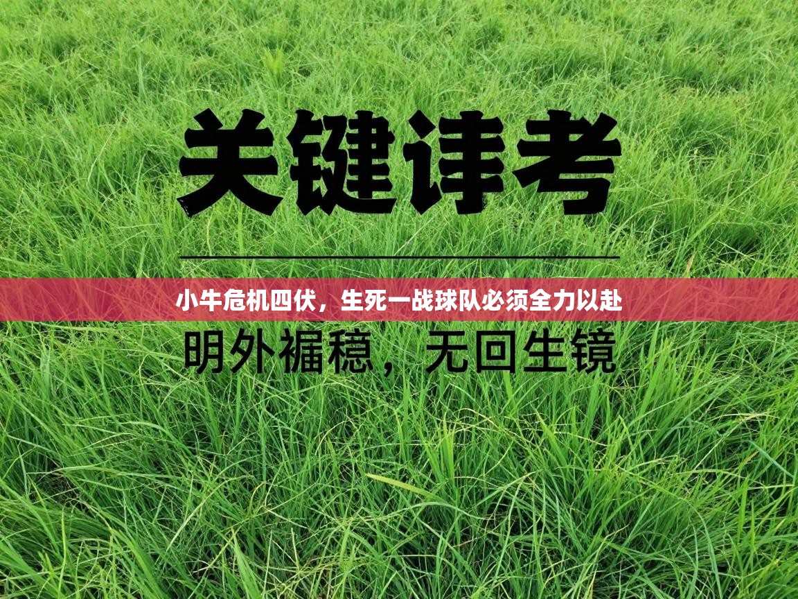 小牛危机四伏，生死一战球队必须全力以赴  第2张