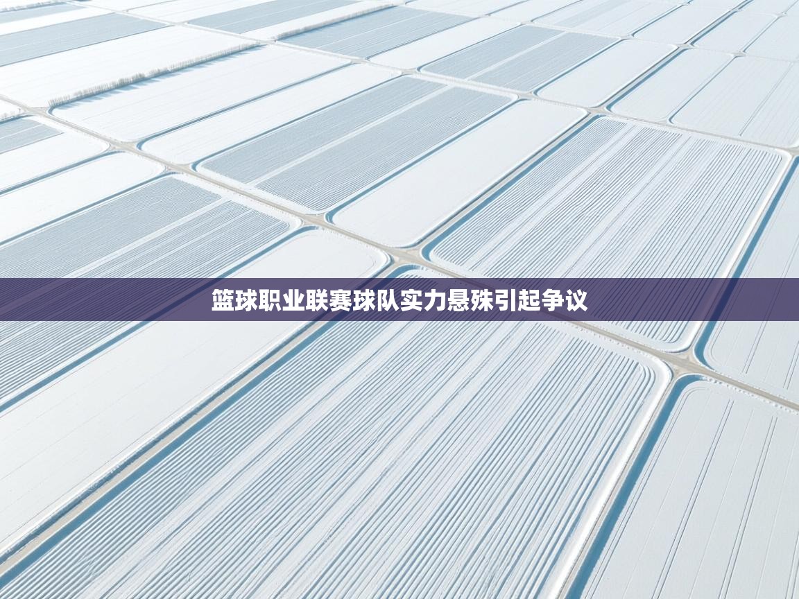 篮球职业联赛球队实力悬殊引起争议 第1张