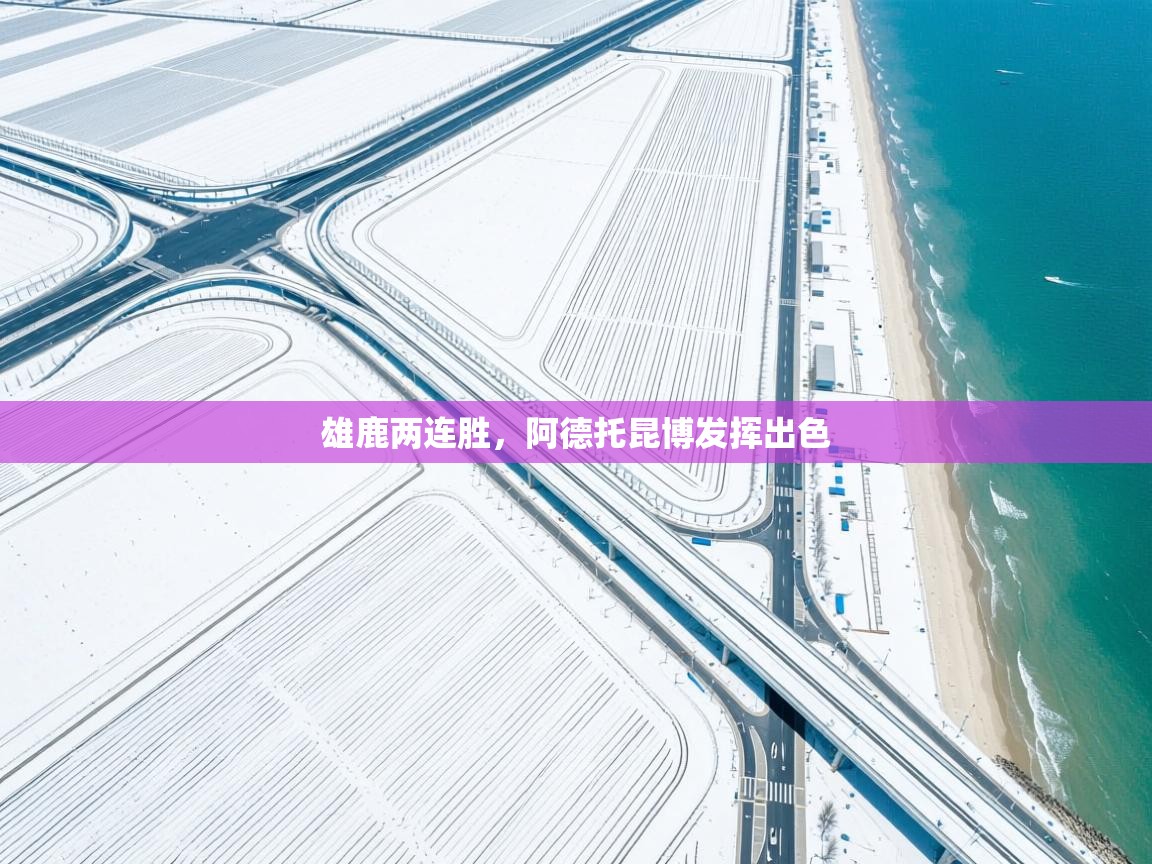 雄鹿两连胜，阿德托昆博发挥出色  第1张