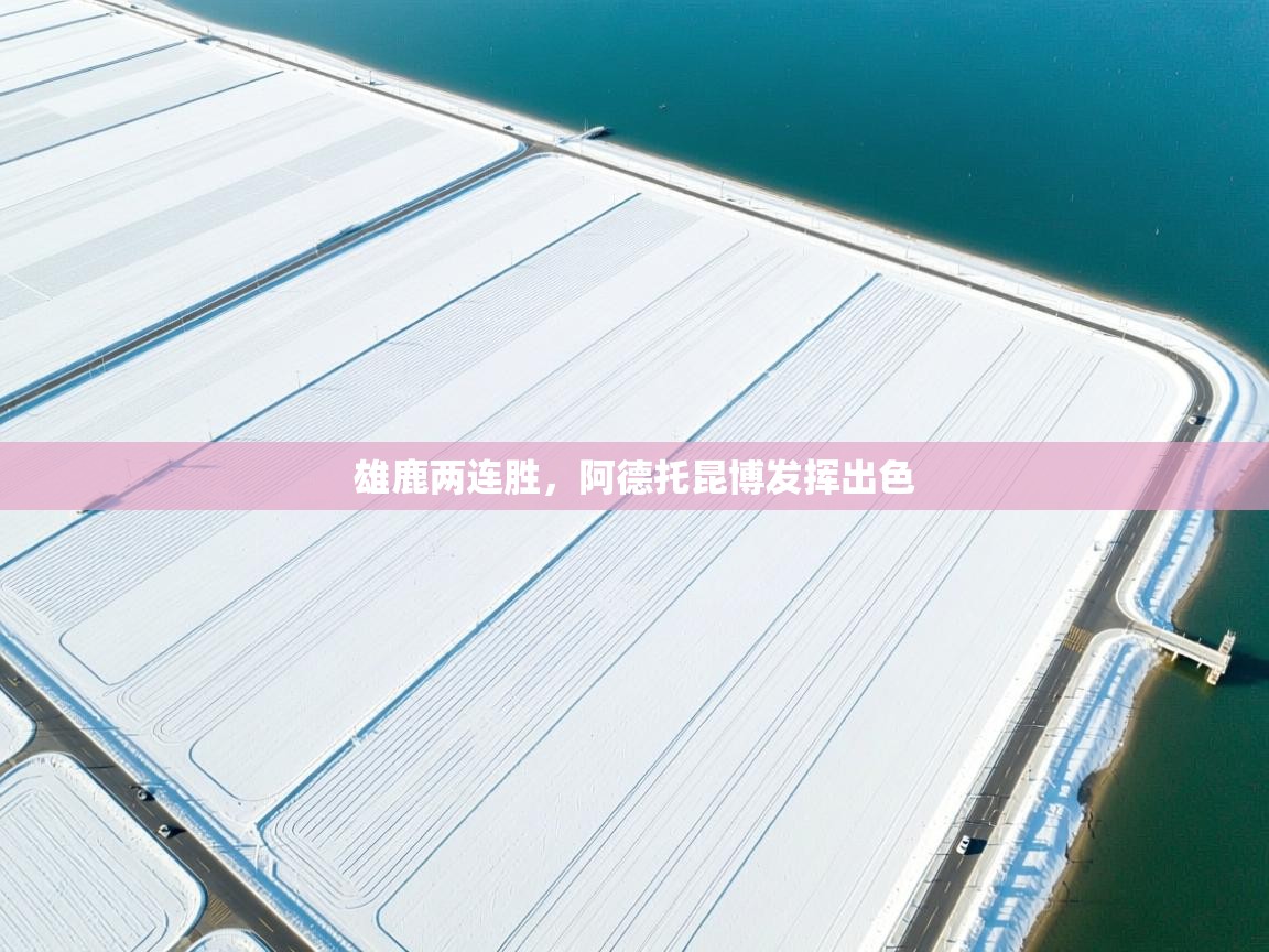 雄鹿两连胜，阿德托昆博发挥出色  第2张