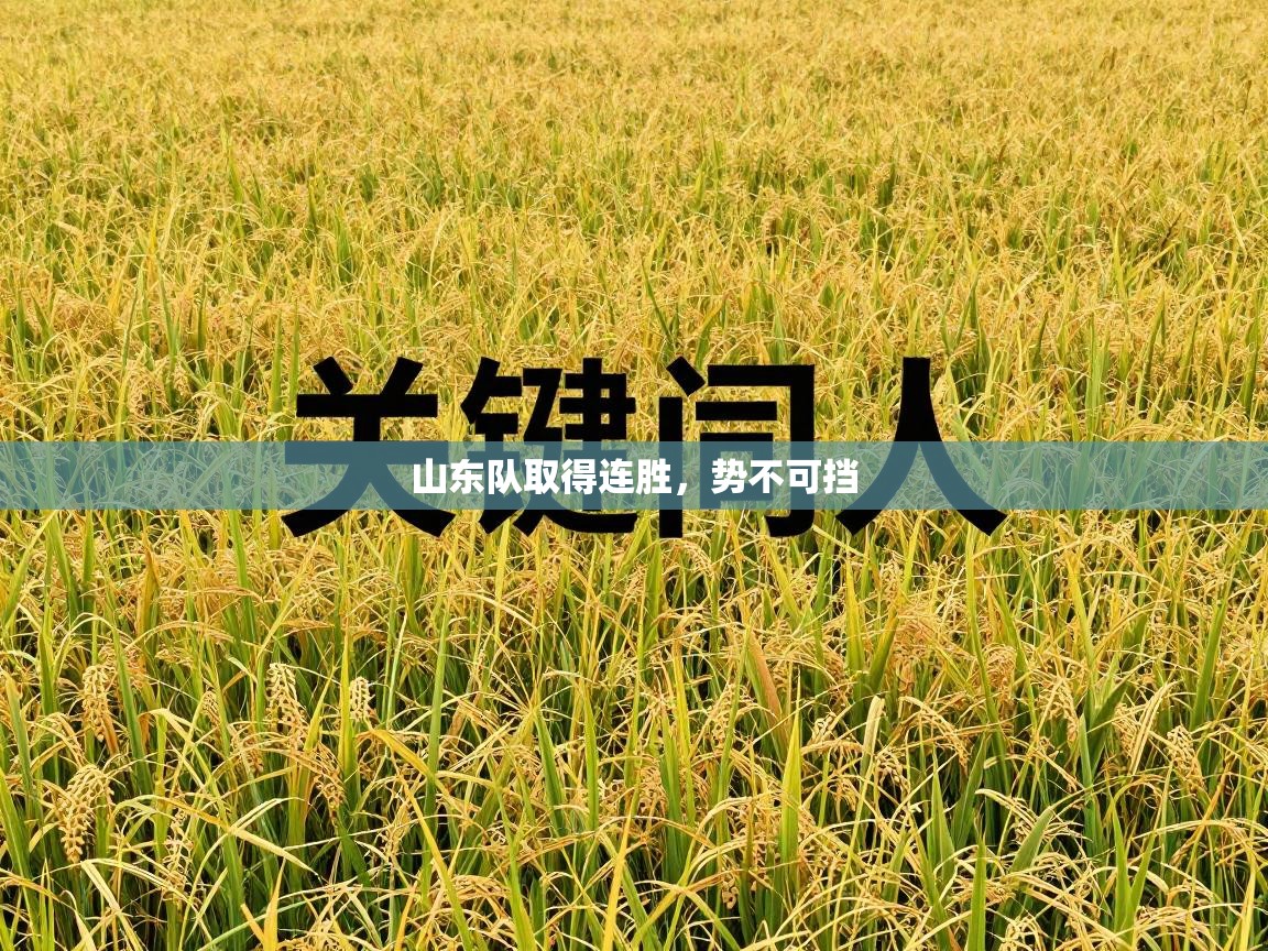 山东队取得连胜，势不可挡  第1张