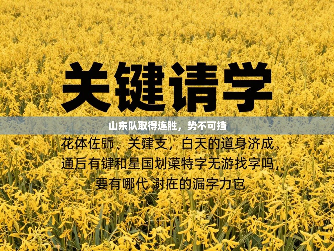 山东队取得连胜，势不可挡  第2张