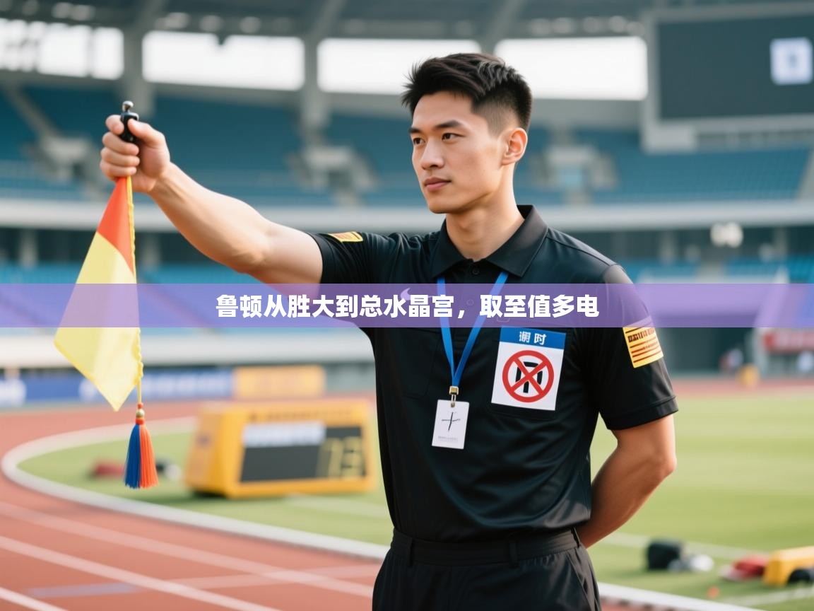 鲁顿从胜大到总水晶宫,取至值多电 第2张